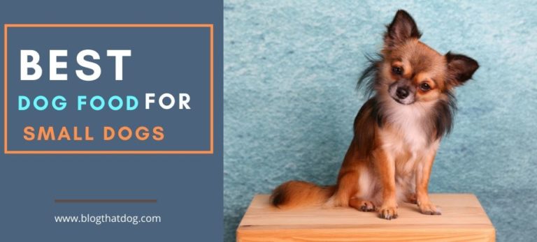 Best 5 Healthy Low Fat Dog Treats For Pancreatitis - Blog That Dog