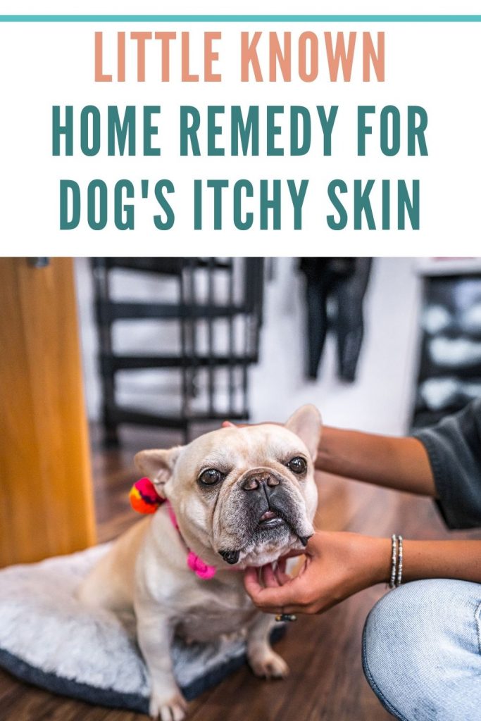 easy home remedy for relieve dog skin allergies itches