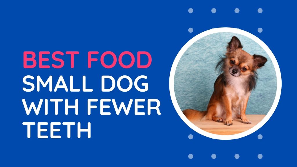 best-dog-food-for-older-small-dogs-with-few-teeth